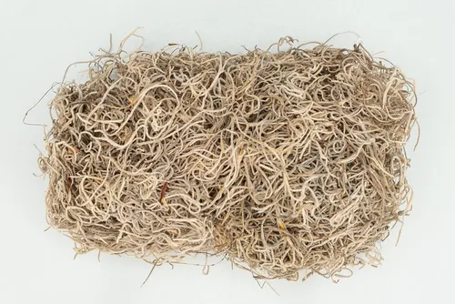 NaDeco Bastelnaturmaterial Tillandsia Moss natur 250g Dschungelmoos