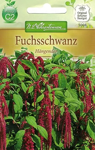 Chrestensen Fuchsschwanz 'Hängender'