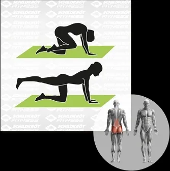 SCHILDKRÖT FITNESS Fitnessmatte - Sportmatte aus 15 mm starkem, rutschfestem Syntetikkautschuk, ideal für Gymnastik und Aerobic. Schweißabweisend und leicht zu transportieren – perfekt für Fitness zu Hause oder unterwegs!