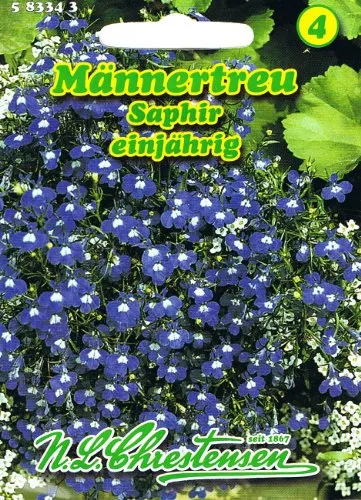 Männertreu 'Saphir' einjährig, hängend, tiefblau 'Lobelia erinus pendula'