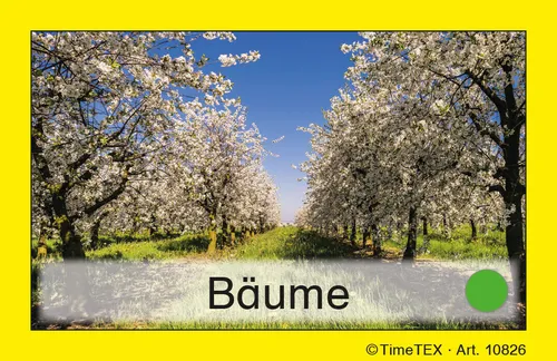 TimeTEX Team-Bildungs-Karten, 60-tlg. im Etui, mit Farb-Code