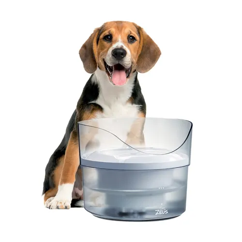 Fresh & Clear Trinkbrunnen für Hunde, 1,5L mit Spritzschutz - Trinkbrunnen für Hunde mit kontinuierlichem Wasserfluss und Spritzschutz - fördert die Hydration und bietet sauberes, gefiltertes Wasser für deinen Hund.