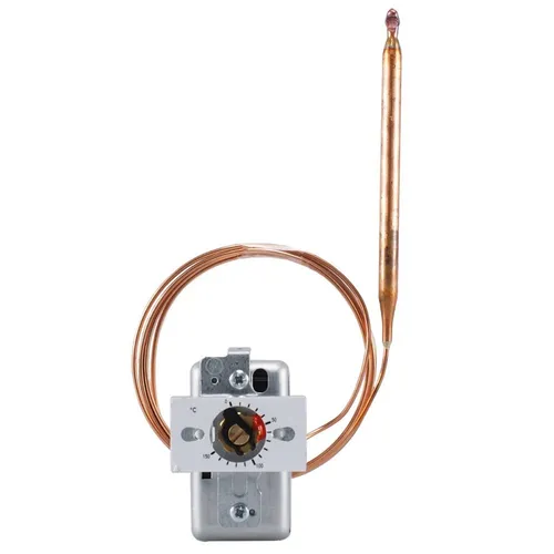 Jumo Thermostat 60000213 IP00 Temperaturschalter von Jumo Thermostat Temperaturschalter