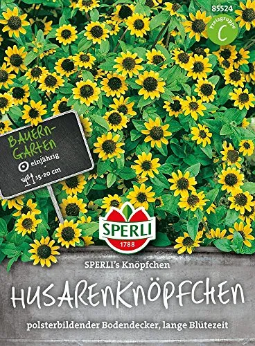 Sperli 85524 Husarenknopf (Husarenknopfsamen) in gelb von SPERLI