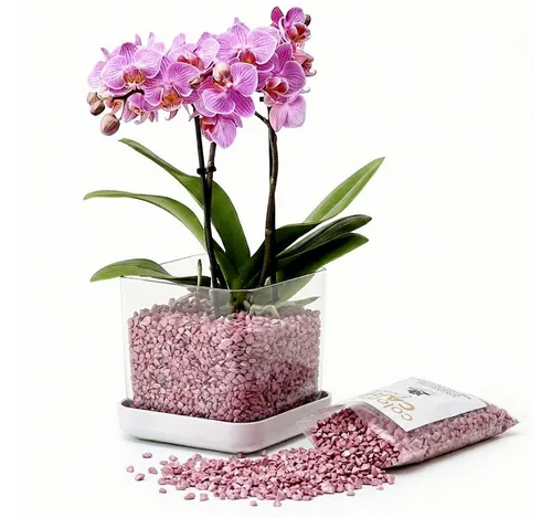 colomi Blumentopf ColomiCare Orchideentopf transparent + 1 L Orchideengranulat – Set (Spar-Set, 1x Orchideentopf 1x 1Liter Orchideengranulat)