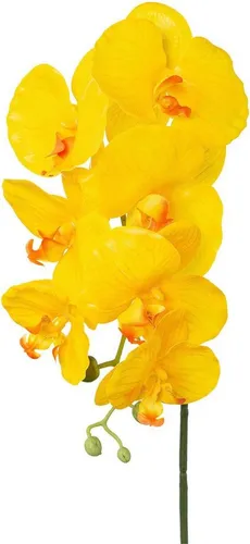 Kunstorchidee Orchidee Phalaenopsis Orchidee, Creativ green, Höhe 76 cm, mit real-touch-Blüten