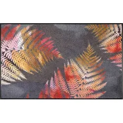 wash+dry Fußmatte Erbario 75x120 cm - Hochwertige Fußmatte für innen und außen, waschbar bis 60°C, rutschfest und pflegeleicht - ideal für Allergiker und Tierbesitzer.