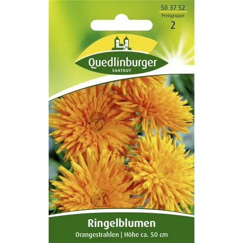 Ringelblume, Orangestrahlen
