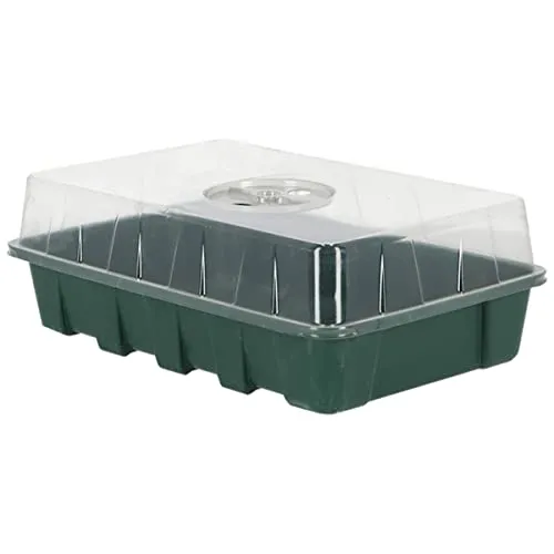 Esschert Design Garten Basics Zimmer-Gewächshaus L Grün 29,8 cm - Kunststoff