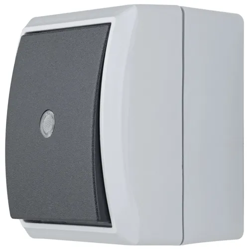 Lichtschalter Grau von REV