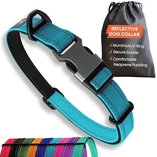 Sweetie Hundehalsband Gepolstert S – Reflektierendes Hundehalsband für Kleine Mittlere Große Hunde – Weiches Neopren & Alum-V-Ring – Halsband Hund Robust – Hunde Halsbänder Wetterfest – Blau