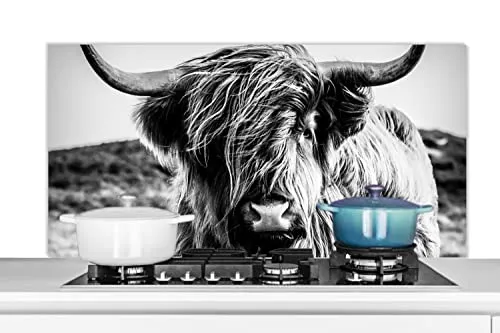 MuchoWow Spritzschutz Küche Küchenrückwand Alu Poster Bilder 120x60 cm Schottischer Highlander - Natur - Kuh - Schwarz - Weiß