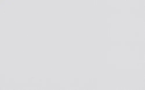 Erfurt Vliestapete Protect 210 weiß 10,05 x 0,53 m von Erfurt