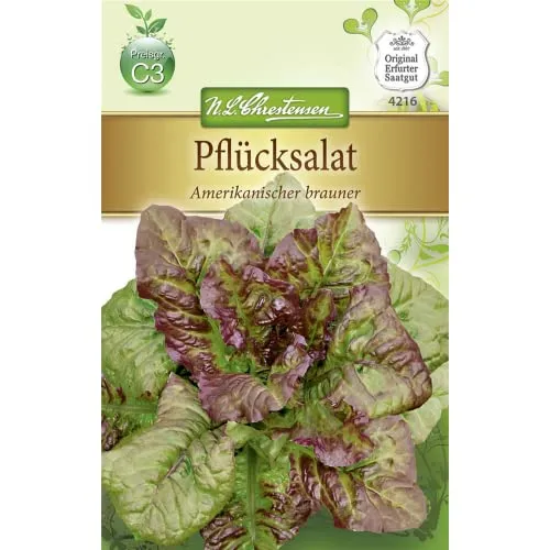 Chrestensen Pflücksalat 'Amerikanischer brauner'