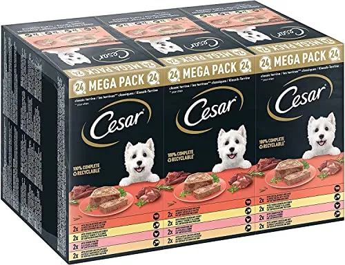 Cesar Megapack Klassik-Terrine - 24 x 150g Hundenassfutter in 4 Varietäten - Vollwertiges Hundefutter in 8 köstlichen Sorten. Ideal für wählerische Hunde, schonend zubereitet aus hochwertigen Zutaten. Verpackung ist recycelbar und sorgt für Frische und Geschmack.