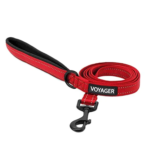 Voyager Reflektierende Hundeleine mit Neoprengriff, 1,5 m lang, unterstützt kleine, mittelgroße und große Rassen, niedlich und strapazierfähig zum Gehen, Laufen und Training, Rot (Leash), L