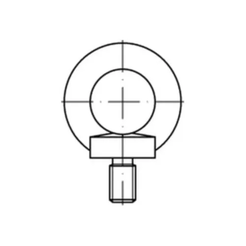 Reyher Ringschrauben DIN 580 C15E M 22 (1 Stück)