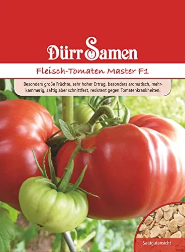 Dürr-Samen - Fleisch-Tomaten Master F1 Saatgut