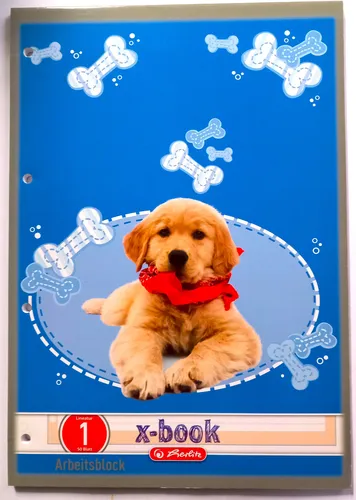 Arbeitsblätter-Block Schulblock LIN.1 Herlitz DIN A4 80G/M² 50Blatt