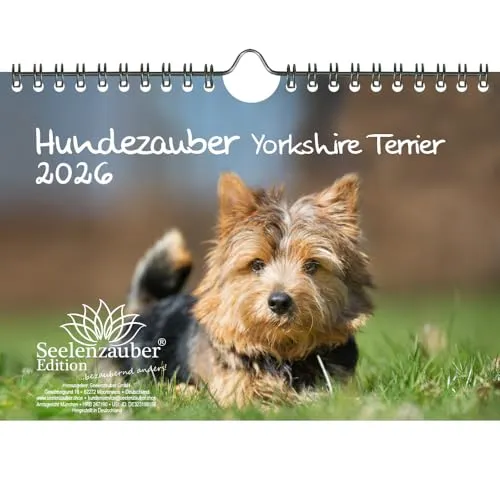 Hundezauber Yorkshire Terrier DIN A5 Kalender für 2026 Welpen und Hunde - Seelenzauber