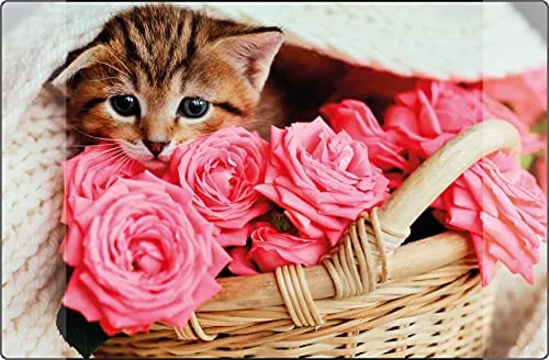 Schreibunterlage Kangaro Katze rutschfest 38x58cm mit zwei Einstecktaschen, für Kinder-, Jugend- und Arbeitszimmer, K-0014D118