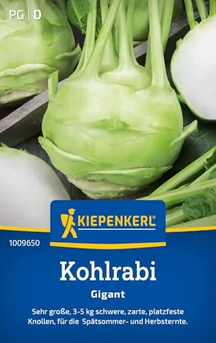 Kiepenkerl Kohlrabisamen Gigant 1009650 von Kiepenkerl