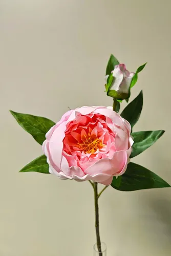 artplants Kunstblume Pfingstrose FYRFAR, halboffen, rosa, 60cm