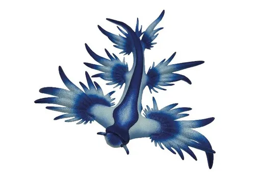 Bullyland 67511 Blaue Ozeanschnecke 9 cm Wasserwelt