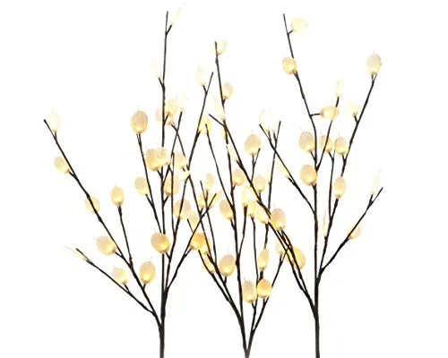 Kaemingk 3 Silberdollarzweige mit je 24 warmweißen LED, Innen, Innentrafo, Zweigabstand 30 cm, Höhe 100 cm 482163