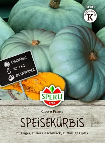 Sperli Speisekürbissamen Crown Prince, F1 81303 von SPERLI