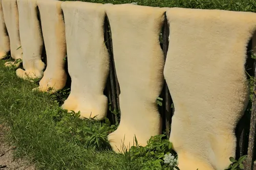 NATURFELL Baby Lammfell von Bayern Fell