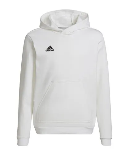 adidas Unisex Kinder Entrada 22 Sweat Hoodie