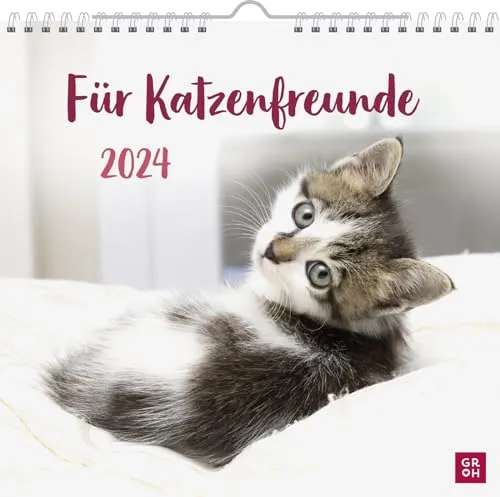 Wandkalender 2024: Für Katzenfreunde: Dekorativer Kalender zum Aufhängen mit Monatskalendarium für Katzenbesitzer