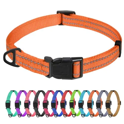TagME Nylon Hundehalsband, Verstellbares Reflektierendes Hundehalsband mit Sicherheitsschnalle für Extra Kleine Hund, Orange, 1.5cm Breite
