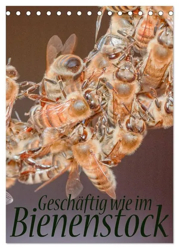 CALVENDO Wandkalender Geschäftig wie im Bienenstock (Tischkalender 2026 DIN A5 hoch), CALVEN