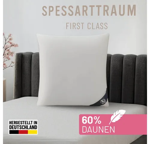 Daunenkissen SPESSARTTRAUM