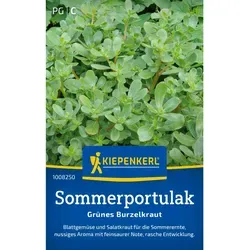 Kiepenkerl Portulak Sommerportulak