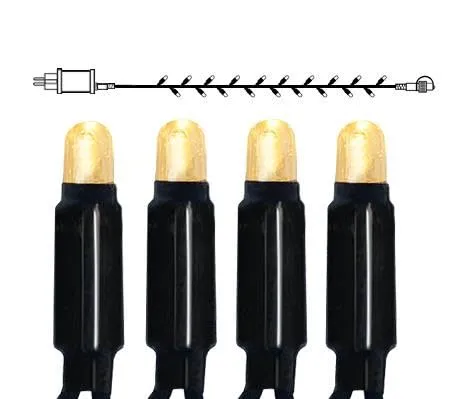 STAR TRADING LED-Lichterkette System 24 von Star