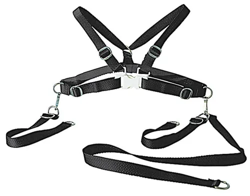 sunnybaby Kinderschutzgurt