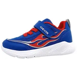 Geox Klettschuh Aquaschuh blau 32 EU