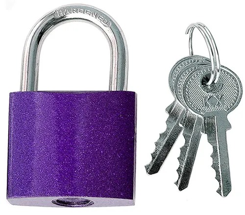 Vorhängeschloss Vorhangschloss 40 mm Hangschloss Violett