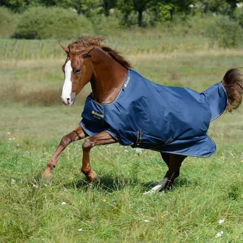 Bucas Irish Turnout 150 g, Outdoordecke in Navy/Gold, Größe: 130 - Winterdecken für Pferde, wasserdicht und atmungsaktiv mit 150 g Füllung, ideal für Temperaturen von -10°C bis +14°C, bietet hohen Tragekomfort und Bewegungsfreiheit durch Schulterfalten.