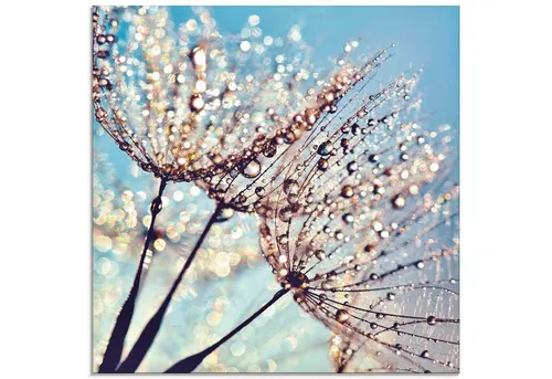 ARTLAND Wanddeko Glasbilder Wandbild Glas Bild einteilig Quadratisch Innere Ruhe Wellness Pflanzen Blumen Pusteblume Wasser Regen Tau Sonnenfänger S9LQ