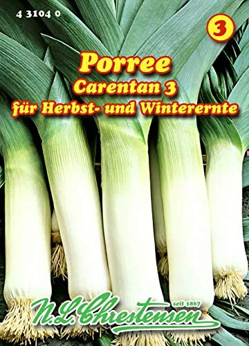 Porree, Carentan 3 spät, Überwinterung N.L.Chrestensen Samen 431040-B