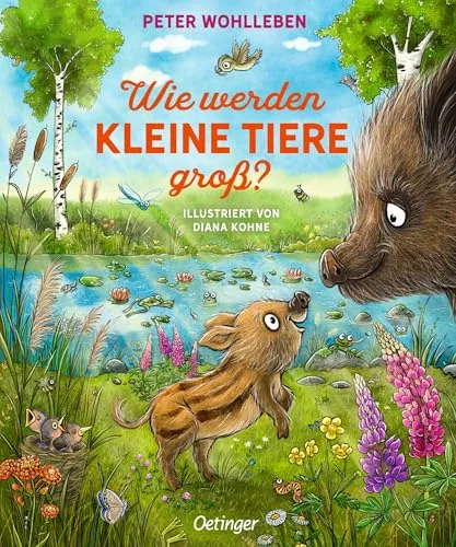 Wie werden kleine Tiere groß?: Süß illustriertes Pappbilderbuch für Kinder ab 2 Jahren mit einer spannenden Entdeckungsreise in die Welt der Tierkinder (Fritzi Wildschwein)