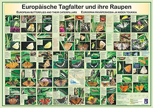 Close Up Poster & Bildende Kunst von Planet Poster Editions
