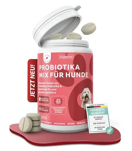Prä & Probiotika Hund [MADE IN GERMANY, ZUCKERFREI & LABORGEPRÜFT] Darmkur mit 670 Mrd. KBE & Präbiotika – stärkt Darmflora & Verdauung – ideal nach Wurmkur, Grasfressen & Sodbrennen (180g (1er Pack))