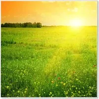 Banjado Magnettafel 50x50cm in weiß von banjado