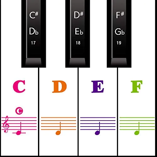 Klavier Keyboard Aufkleber für 54/61 / 76/88 Tasten Noten Piano Sticker für weiße & schwarze Tasten Transparent und abnehmbar (Voll Farbe)