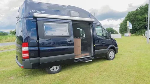 Remis REMIcare Van Tür-Insektenschutz für Sprinter/Crafter Bj. 2006-2016